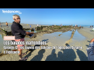 Les Balades Inattendues, épisode 12 : les épaves des bateaux de l'opération Dynamo, à Zuydcoote