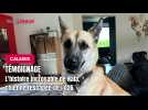 L'histoire incroyable de Nala une rescapée de l'A26