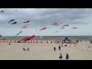 Berck sur mer, journée mondiale du cerf-volant, 2025