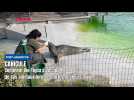 Fort-Mardyck : comment Bio-Topia s'occupe de ses animaux lors des fortes chaleurs