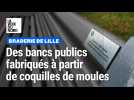 Braderie de Lille : des bancs publics fabriqués avec des coquilles de moules