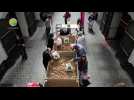 Waste Warriors redt aardappelen