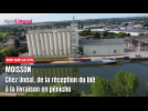 Aire-sur-la-Lys : chez Unéal, de la réception du blé à la livraison en péniche