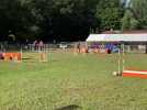 Concours canin club agility de Berck-sur-Mer