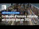 Deux ans de retard pour la rénovation du Musée d’histoire naturelle de Lille