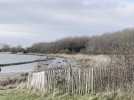 Entre animaux et plan d’eau : un nouveau sentier de 2,5 km ouvre à Oye-Plage