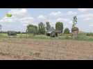Europeanen vinden landbouw belangrijk
