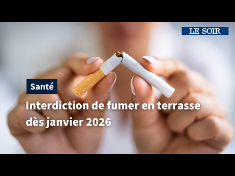elfbar nachfüll pod läuft aus Peut-on fumer de la camomille : Risques et effets main image 0