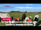 L’association Aux Bonheurs des Autres recherche un terrain pour ses chevaux