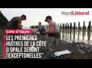 Les premières huîtres de la Côte d'Opale sont là !