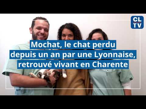 La première fois que j'ai perdu mon chat TOM LE CHAT - À la recherche du doudou perdu - Little KMBO