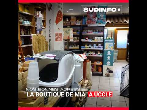 La Boutique de Mia, le nouveau paradis pour chiens et chats à Uccle