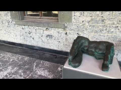 L'artiste dinantais Félix Roulin expose ses œuvres au Château