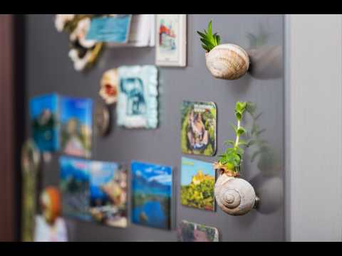 Gilbert Die Oie Aimants De Réfrigérateur Avec Dictons Insolents Huit Aimants Différents Pour Méchant, Ensemble D'aimants Amusants Avec Dictons De Malchance, Aimants De Réfrigérateur Pour Homme